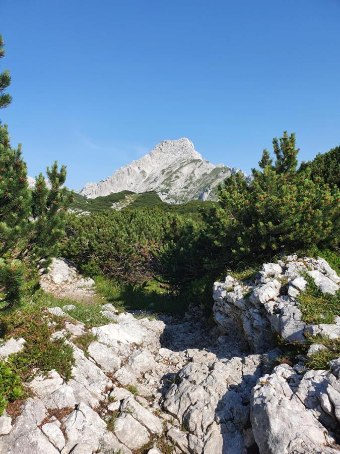 Prdelanca Luče