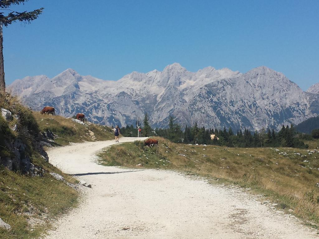 Hébergement de vacances Prdelanca